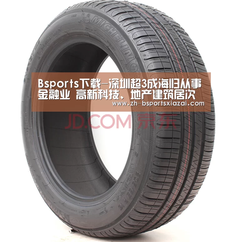 Bsports下载