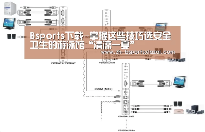 Bsports下载