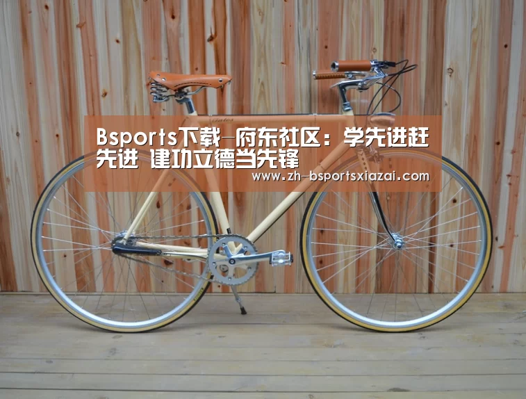 Bsports下载