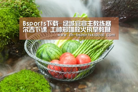 Bsports下载