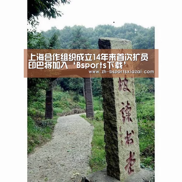 Bsports下载