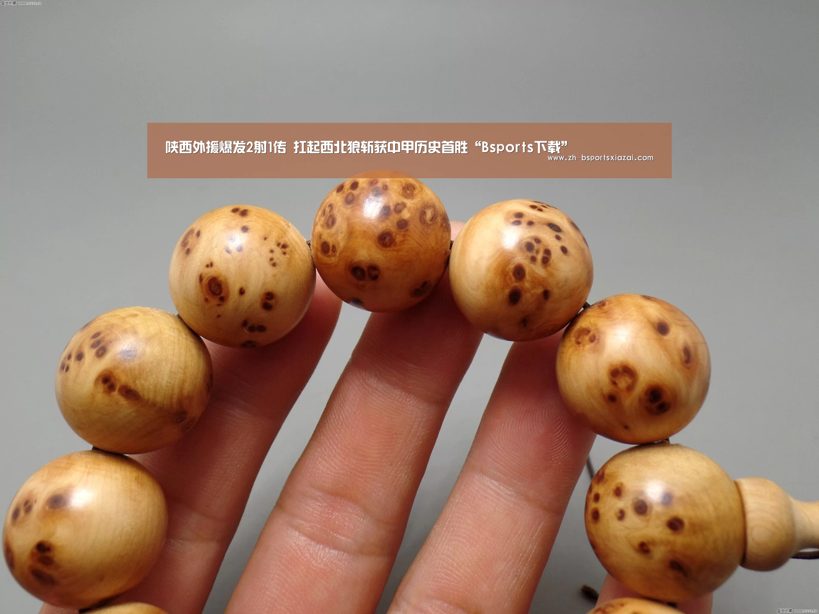 陕西外援爆发2射1传 扛起西北狼斩获中甲历史首胜“Bsports下载”(图1) Bsports下载