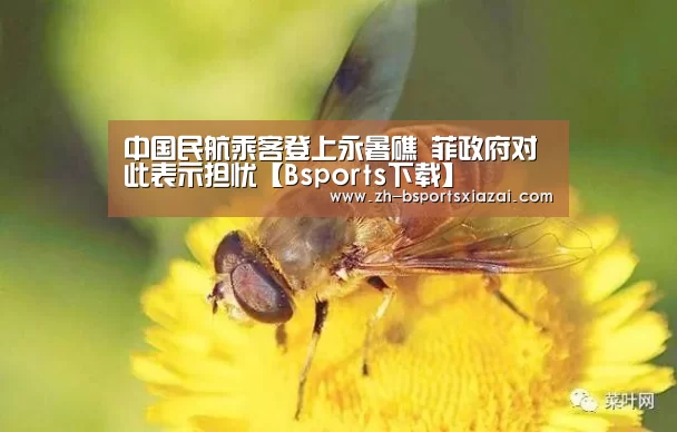 中国民航乘客登上永暑礁 菲政府对此表示担忧【Bsports下载】(图1) Bsports下载