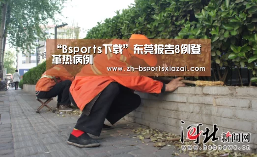Bsports下载