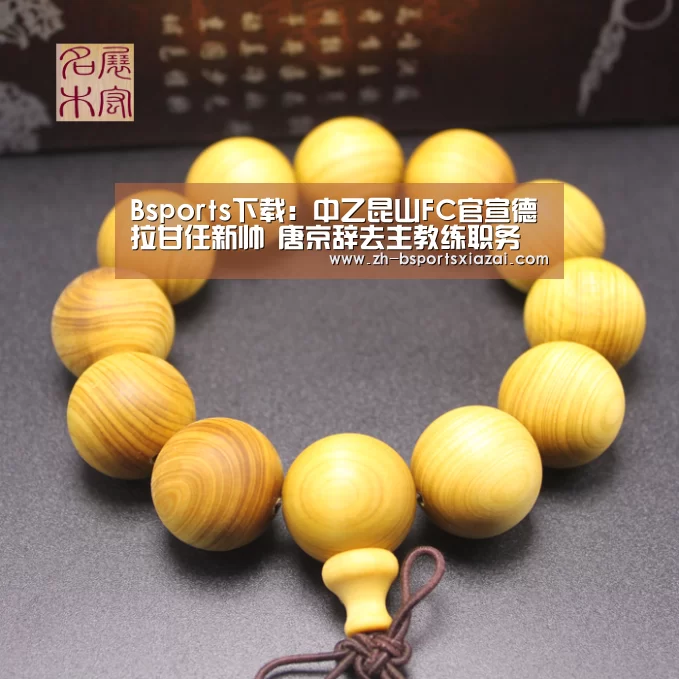 Bsports下载:中乙昆山FC官宣德拉甘任新帅 唐京辞去主教练职务(图1) Bsports下载