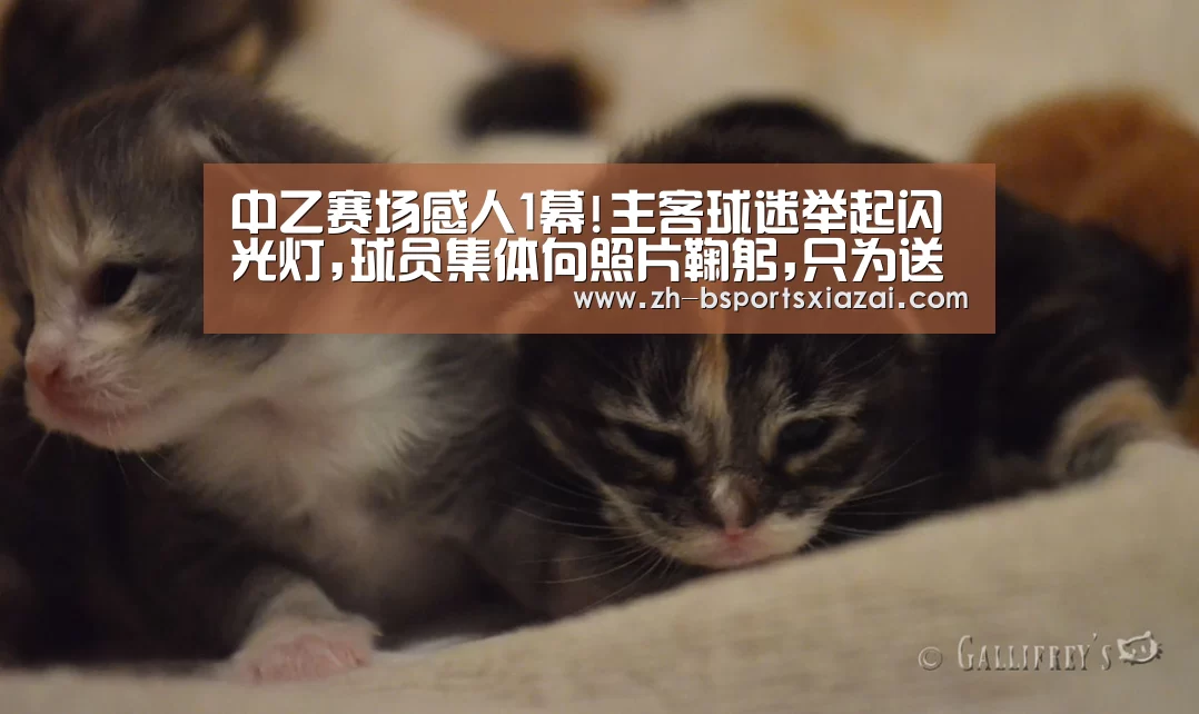 中乙赛场感人1幕!主客球迷举起闪光灯,球员集体向照片鞠躬,只为送行1人:Bsports下载(图1) Bsports下载