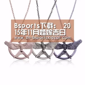 Bsports下载
