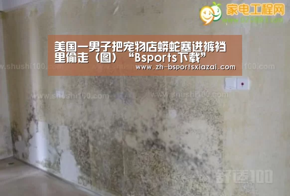 美国一男子把宠物店蟒蛇塞进裤裆里偷走(图)“Bsports下载”(图1) Bsports下载