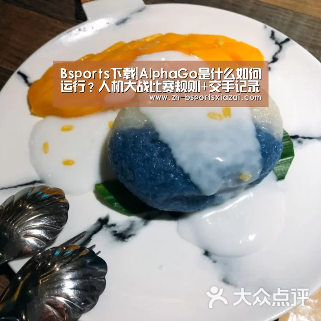 Bsports下载